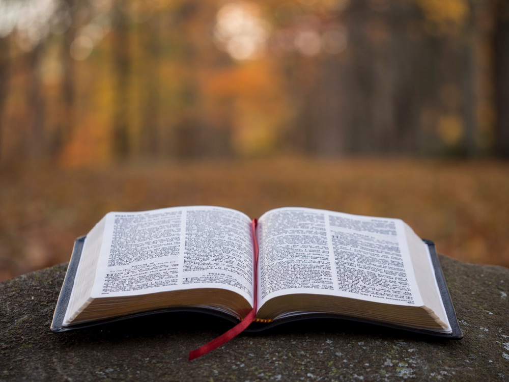 Bishops ask Catholics: What does the Bible mean to you?