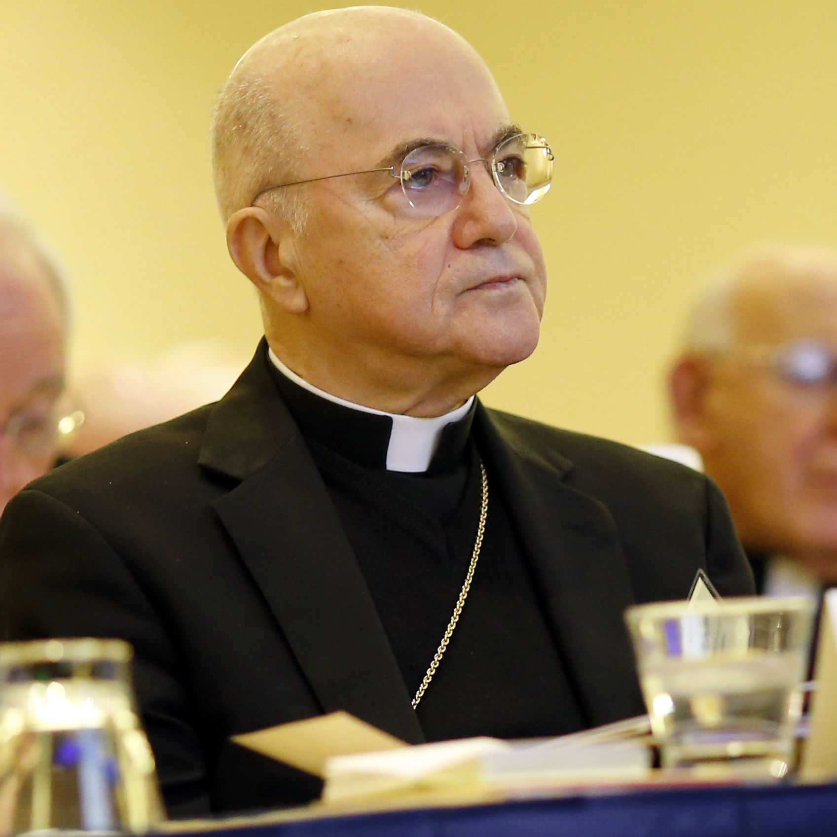 New book throws light on Viganò and McCarrick