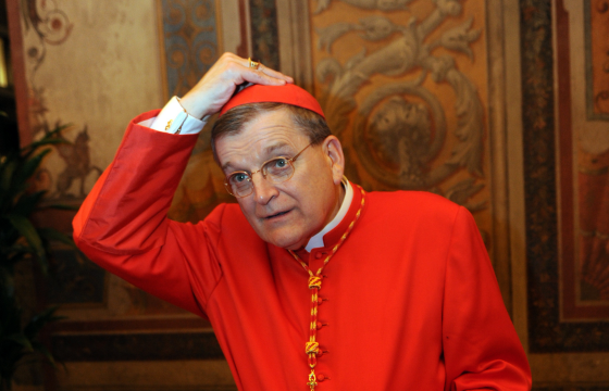 Cardinal Burke 'in office but out of power' as job handed to papal delegate 