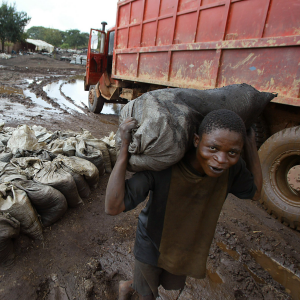 Apple among major companies failing to do 'basic checks' on child labour in Congo