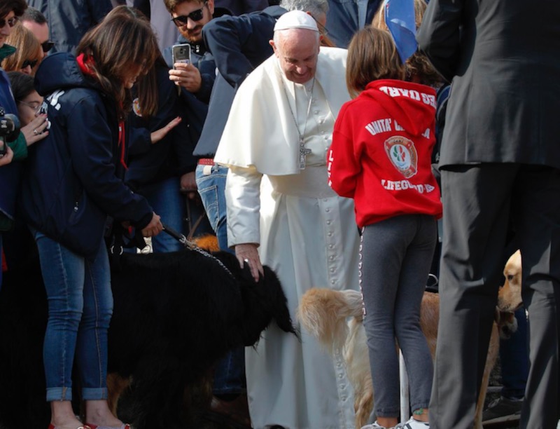Analysis: The Pope against pets?