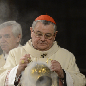 Cardinal claims Pope can't understand refugee crisis because he is not from Europe