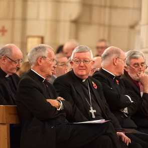 Bishops urge laity to make voices heard ahead of next family synod