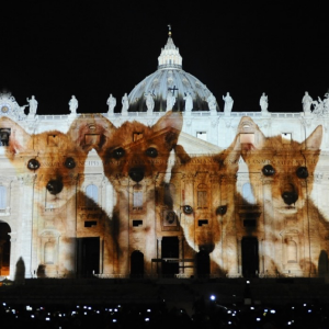 The Vatican is lit up by the richest man in China to highlight climate change