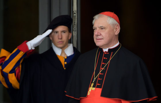 Müller criticises Pope for the way he dismissed him and offers to help mediate 'deep rift' in the Church