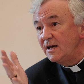 Cardinal rebukes priests for publicising call to resist reform
