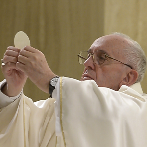 Church should not marginalise gay Catholics, pope insists