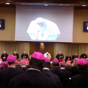 Francis to set up new dicastery on Laity, Family and Life