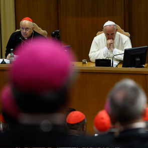 Rome bishops to 'rethink' pastoral approach to family 