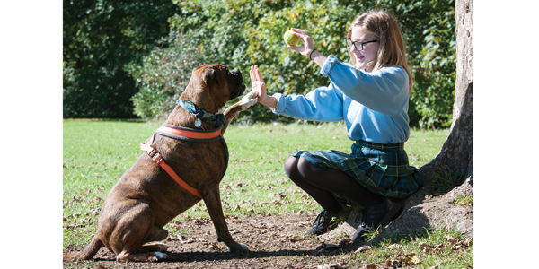 A dog is for life – and learning: how pupils can benefit from animal magic