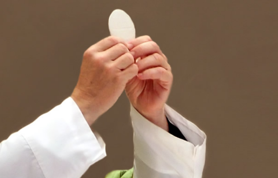 Imaturis Laetitia: Debate over communion for divorced and remarrieds shows how far some are from 'mature discipleship'
