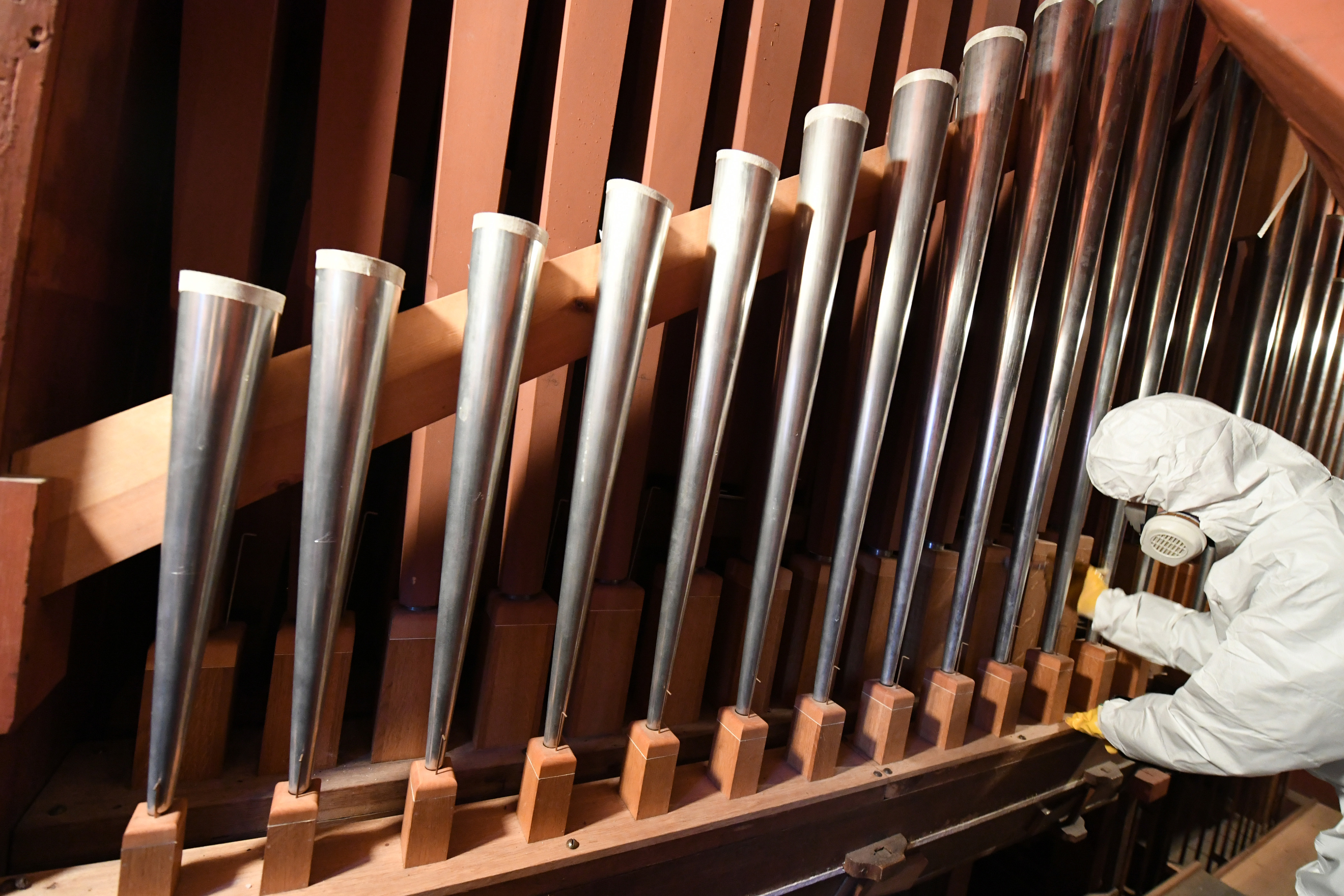An expert in wood restoration is working on the historic Buchholz-Grüneberg organ in the Demmin church of St. Bartholomaei.