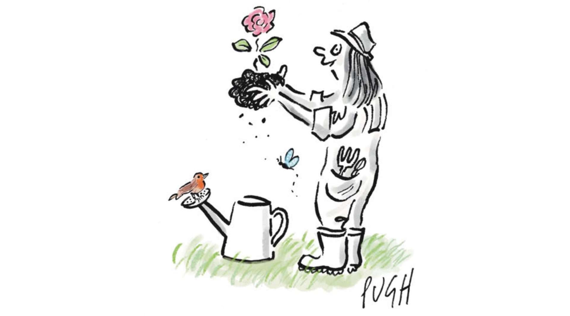 Coming up roses – adventures in sustainable gardening