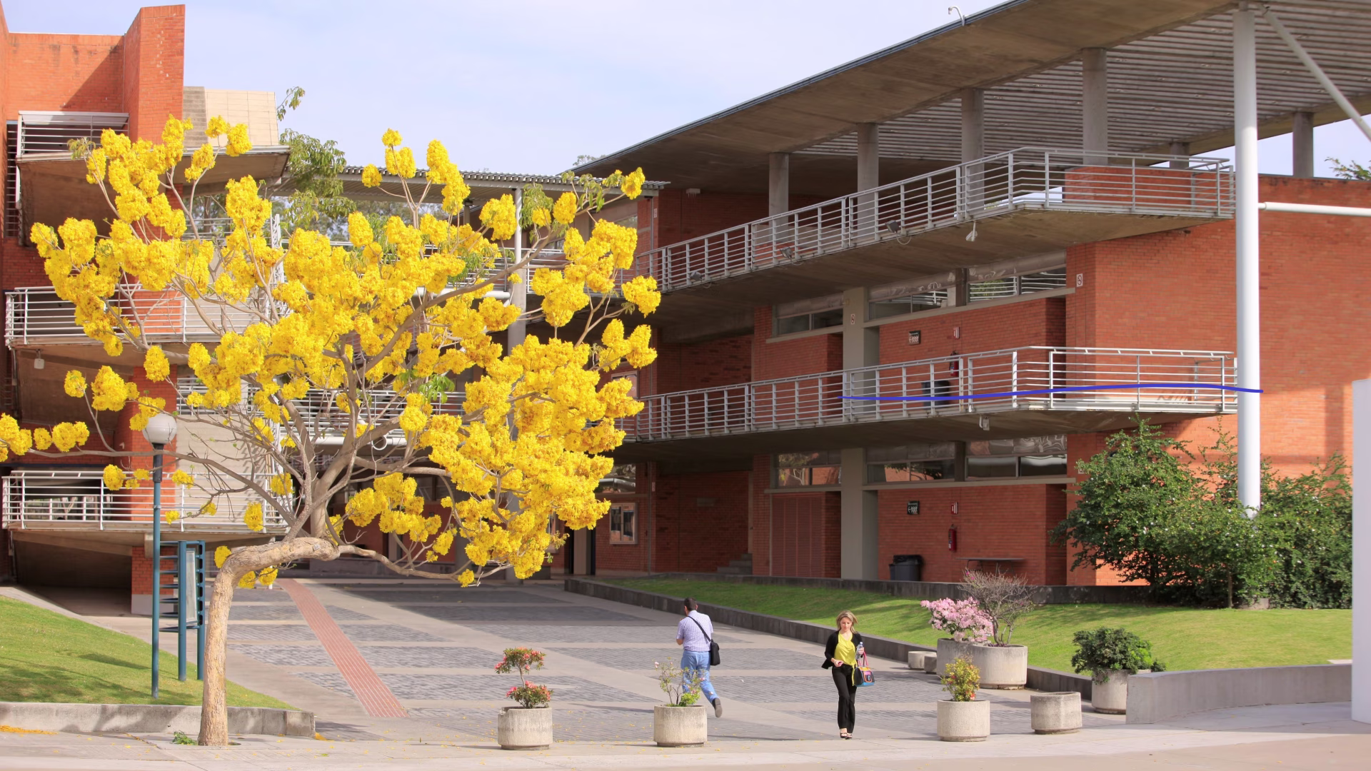 Mexican activists urged to ‘sow seeds of peace’