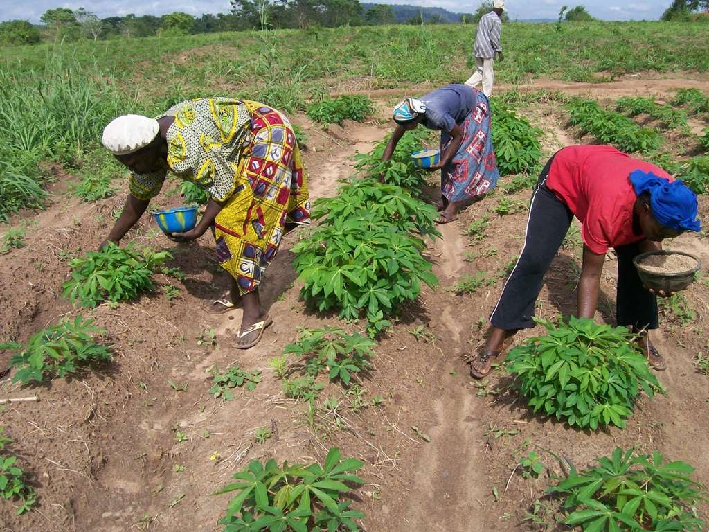 Caritas Nigeria ‘attends to poor’ with agricultural training scheme