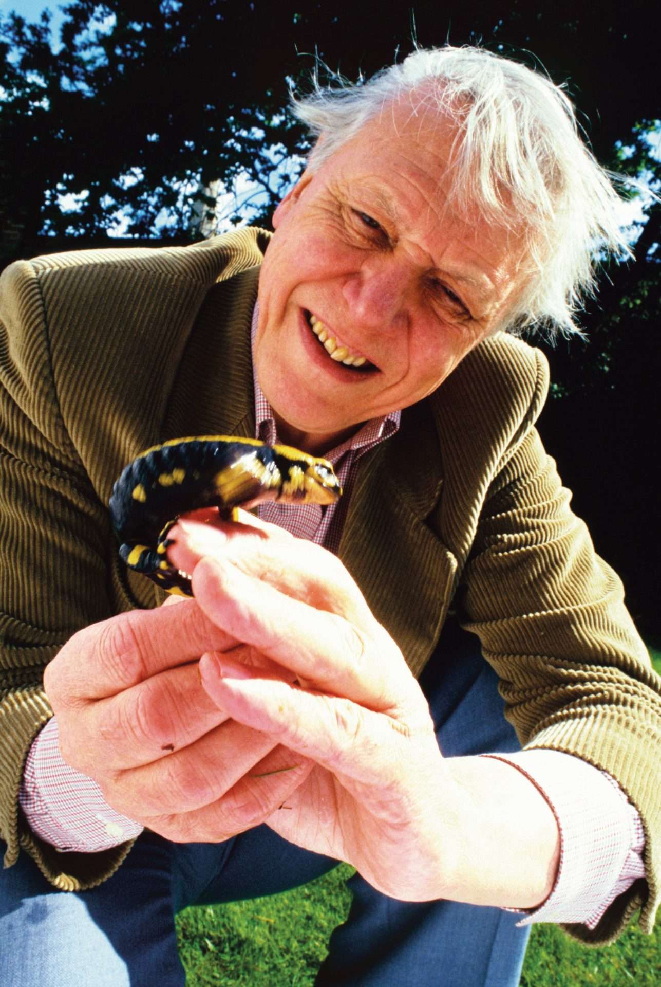Joanna Lumley, David Attenborough and the concept of the ‘national treasure’