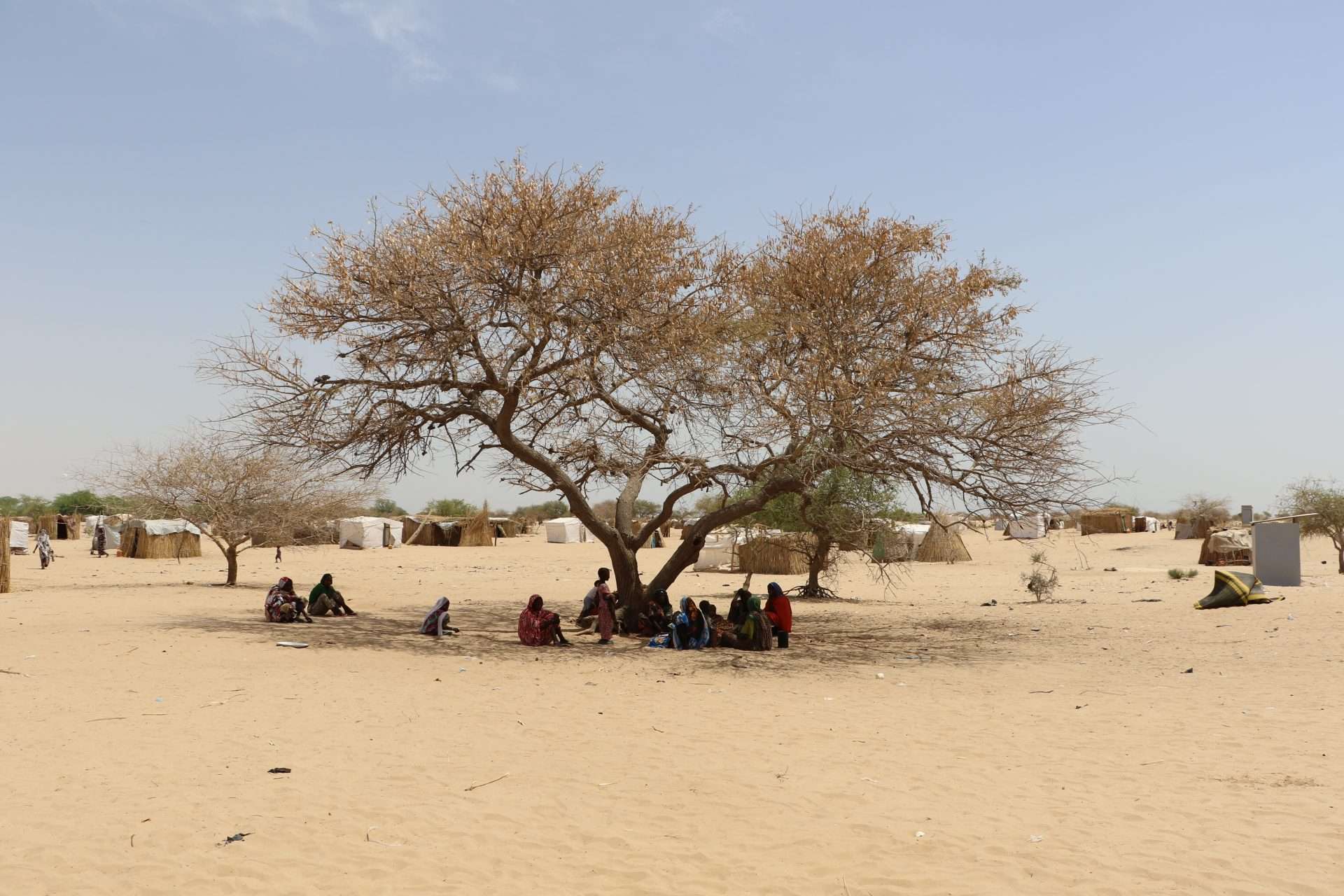 Pope prays for peace in the Sahel after jihadist attacks