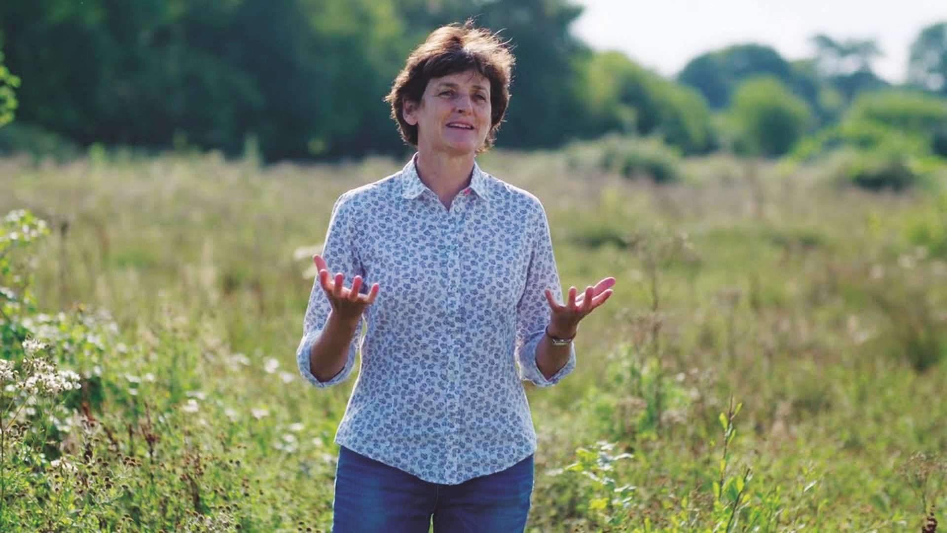 Back to nature – think like a Lynx