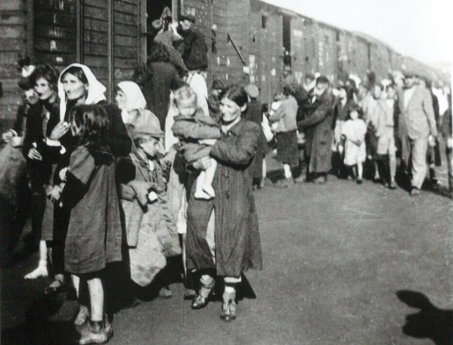 A zoo as the Shoah