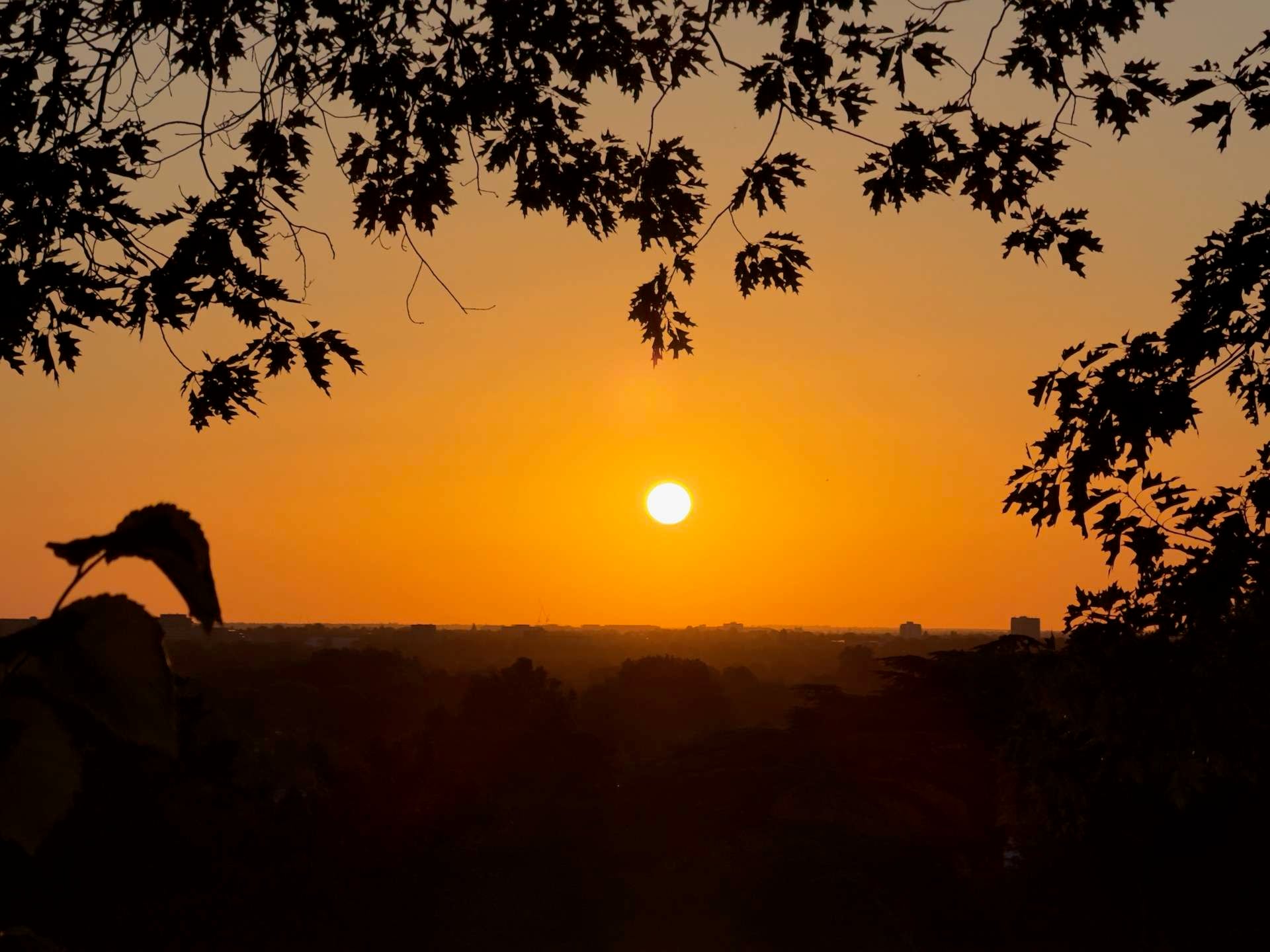 ‘Wisdom’ from the medieval era on the hottest – and unhealthiest – days of the year